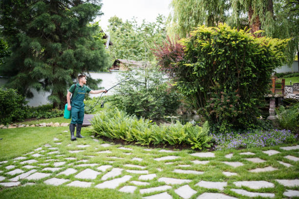 Best Wasp Removal Services  in West Lake Hills, TX