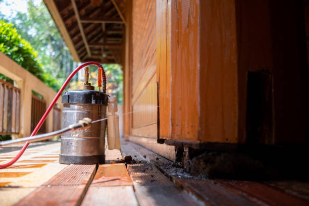 Best Wasp Removal Services  in West Lake Hills, TX