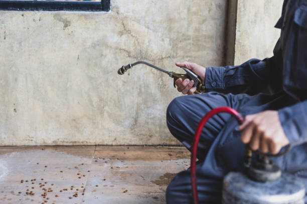 Trusted West Lake Hills, TX Pest Control Experts