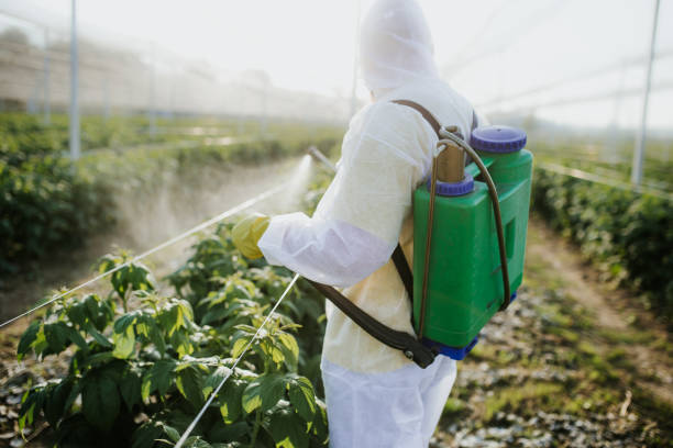Best Emergency Pest Control  in West Lake Hills, TX